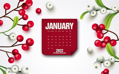 Calendario gennaio 2022, 4k, sfondo bianco invernale, gennaio, sfondo bacche, calendari invernali