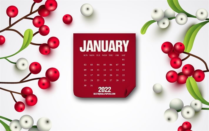 januar 2022 kalender, 4k, wei&#223;er winterhintergrund, januar, beerenhintergrund, 2022 januar kalender, winterkalender