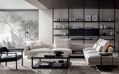 living room, modern interior design, shelves for books, stylish interior design, black and white colors in the living room