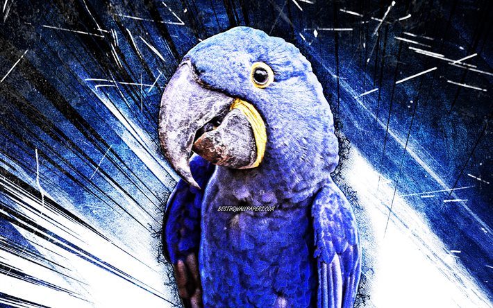 4k, Ara Giacinto, grunge, arte, pappagallo blu, Anodorhynchus hyacinthinus, raggi astratti blu, pappagalli, ara, Ara