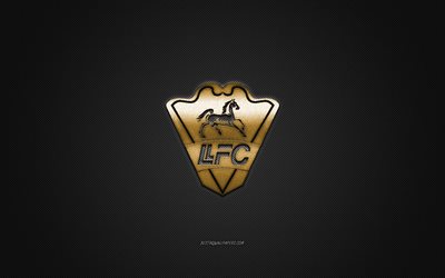 llaneros fc logo, kolumbianischer fu&#223;ballverein, goldenes logo, grauer kohlefaserhintergrund, categoria primera b, fu&#223;ball, villavicencio, kolumbien, llaneros fc