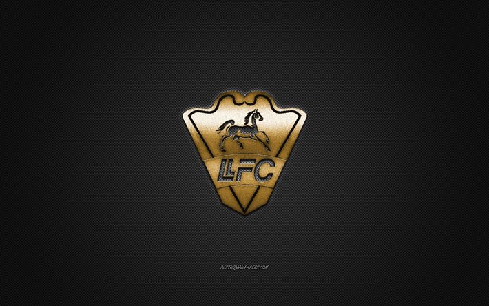 Llaneros FC logo, squadra di calcio Colombiana, logo oro, sfondo grigio in fibra di carbonio, Categoria Primera B, calcio, Villavicencio, Colombia, Llaneros FC