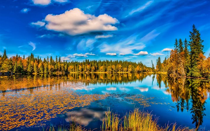outono, lindo lago, ceu, nublado, floresta, reflexao, HDR, bela natureza