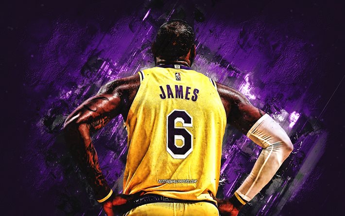 LeBron James, Los Angeles Lakers, Number 6, NBA, American basketball player, purple stone background, basketball, National Basketball Association, grunge Art