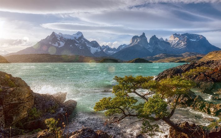 berg, sj&#246;n, morgon, Lake Pehoe, Torres del Paine, Patagonien, Chile, Sydamerika