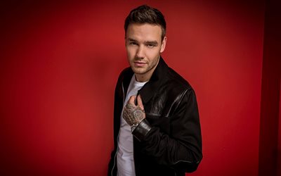 Liam Payne, 2017, superstars, cantora brit&#226;nica, caras, celebridade, Uma Dire&#231;&#227;o