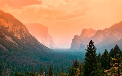 4k, Yosemite Valley, fog, autumn, american landmarks, Yosemite National Park, forest, California, USA, America