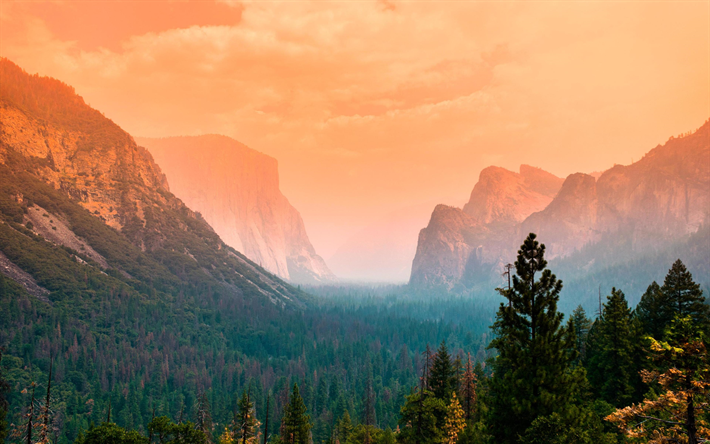 4k, el Valle de Yosemite, niebla, oto&#241;o, american puntos de referencia, el Parque Nacional de Yosemite, bosque, California, estados UNIDOS, Am&#233;rica