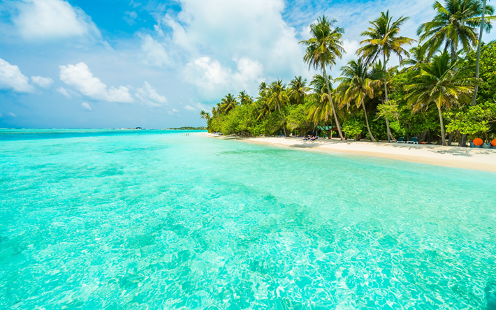 tropical island, beach, summer travel, blue lagoon, palm trees, sand