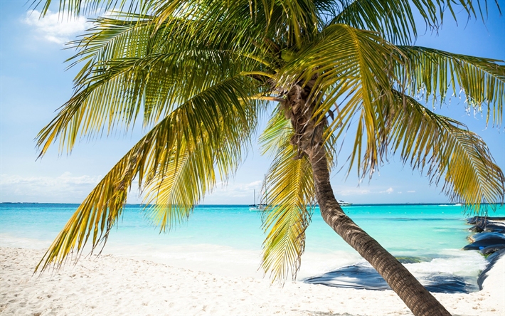 tropik ada, beyaz yat, palmiye ağacı, plaj, mavi g&#246;l, okyanus