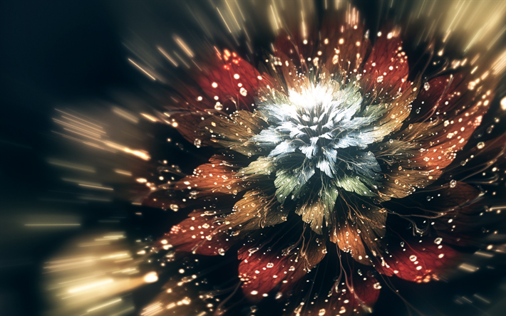 brilhante flor, fractal, arte, gr&#225;ficos, gotas, &#225;gua