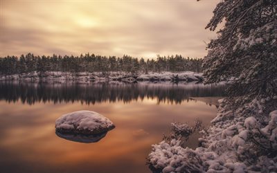 inverno, neve, lago, p&#244;r do sol, Finl&#226;ndia, paisagem de inverno, floresta