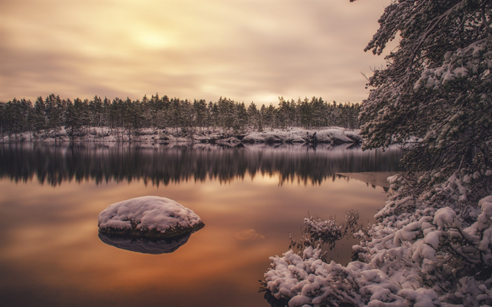 冬, 雪, 湖, 夕日, フィンランド, 冬景色, 森林