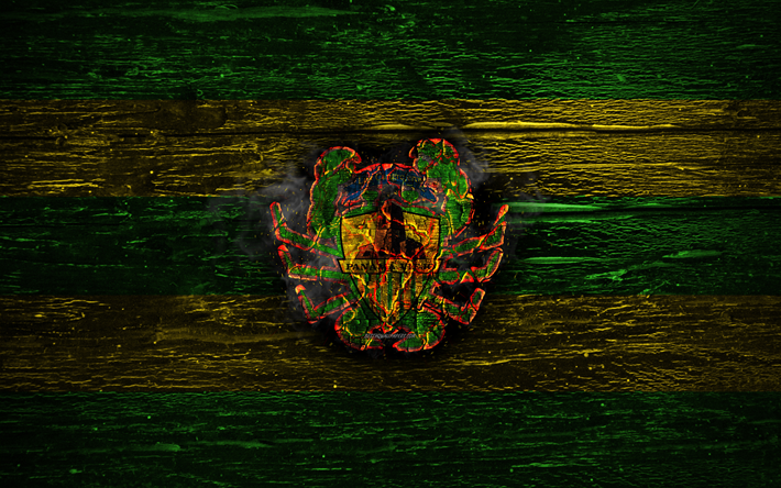 Panama Viejo FC, yangın logo, LPF, yeşil ve sarı &#231;izgiler, Panama Futbol Kul&#252;b&#252;, grunge, futbol, Panama Viejo logo, ahşap doku, Panama