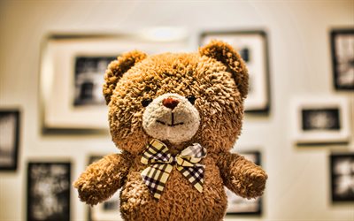 oso de peluche, 4k, primer plano, juguetes, oso con arco, lindo oso