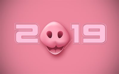 2019 pig background, Happy New Year 2019, pink creative 2019 background, Chinese horoscope, 2019 concepts, 2019 year, pig, creative 2019 art