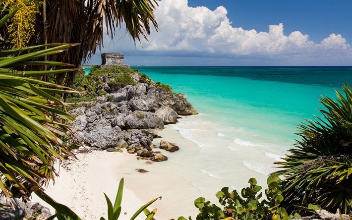 Mare caraibico, costa, spiaggia, palme, estate, Tulum, rovine Maya, Messico