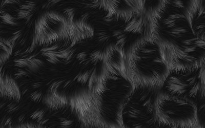 schwarzes fell textur, makro -, tier-fell, braun-schwarz-pelz, schwarz-pelz-hintergr&#252;nde, close-up, schwarzer hintergrund, fell texturen