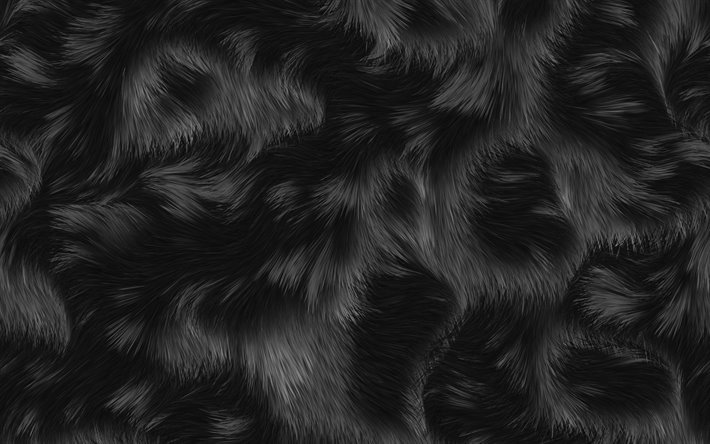 la fourrure noire de la texture, macro, animaux &#224; fourrure, brun noir fourrure, fourrure noire origines, close-up, fond noir, fourrure textures