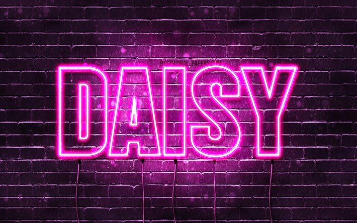 Daisy, 4k, taustakuvia nimet, naisten nimi&#228;, Daisy nimi, violetti neon valot, vaakasuuntainen teksti, kuva Daisy nimi