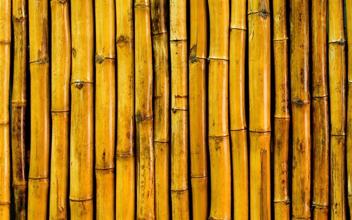 keltainen bambusta arkut, makro, bambusoideae tikkuja, bambu kuvioita, keltainen bambu rakenne, bambu keppej&#228;, bambu tikkuja, keltainen puinen tausta, pystysuora bambu rakenne, bambu