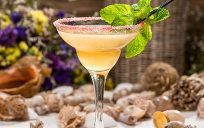 Sidecar, cocktail, Conhaque, Copo de coquetel, coquet&#233;is alco&#243;licos, bebidas conceitos