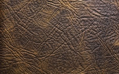 en cuir brun texture, 4k, de cuir, de textures, de brun, de milieux, de motifs, de macro, cuir