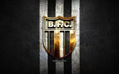 Botafogo FC, golden logo, Serie B, black metal background, football, Botafogo Ribeirao Preto, brazilian football club, Botafogo logo, soccer, Brazil
