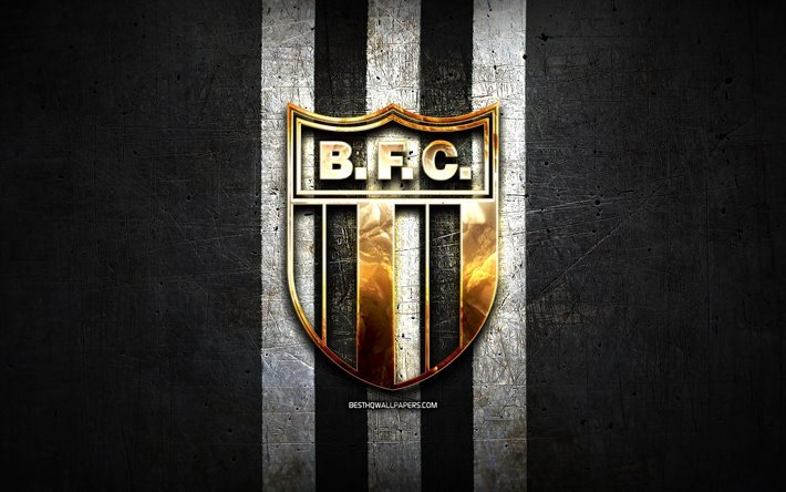 Botafogo FC, golden logotyp, Serie B, black metal bakgrund, fotboll, Botafogo Ribeirao Preto, brasiliansk fotboll club, Botafogo logotyp, Brasilien