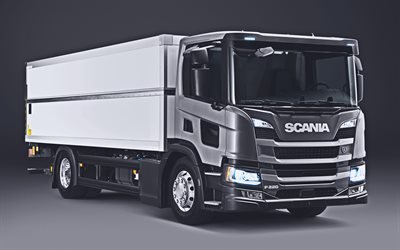 Scania P220, 4k, studio, 2019 caminh&#245;es, Caminh&#227;o, P-series, o transporte de carga, 2019 Scania P220, caminh&#245;es, Scania