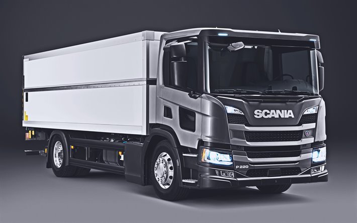 Scania P220, 4k, studio, 2019 lastbilar, Lastbil, P-serien, cargo transport, 2019 Scania P220, lastbilar, Scania