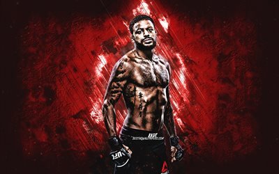 Michael Johnson, american fighter, UFC, portrait, red stone background, Ultimate Fighting Championship, USA