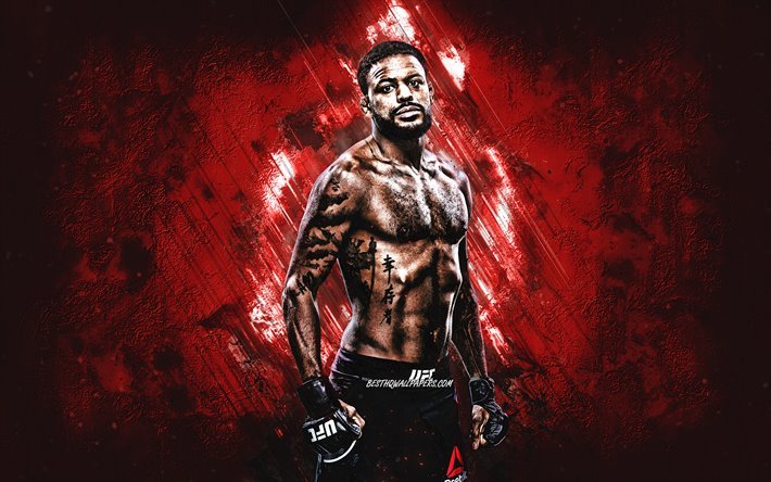 Michael Johnson, amerikkalainen taistelija, UFC, muotokuva, punainen kivi tausta, Ultimate Fighting Championship, USA