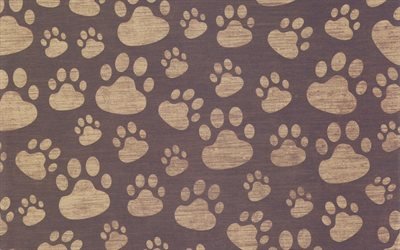 paws patterns, creative, footprints patterns, abstract backgrounds, dog footprints, background with paws, background with footprints