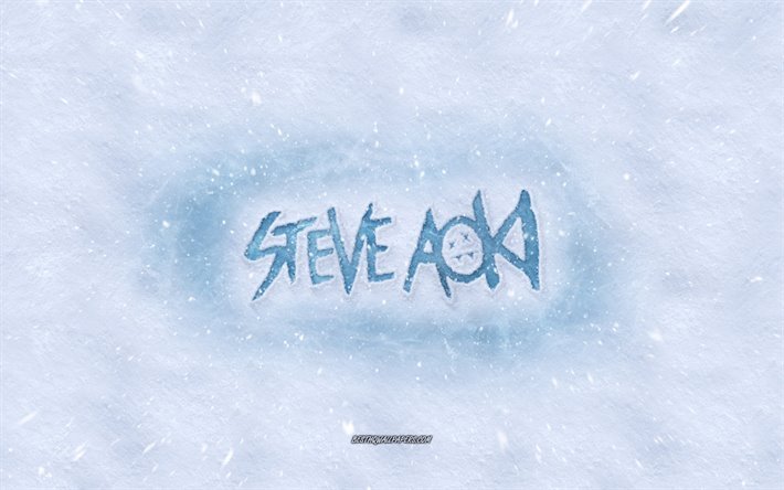 Steve Aoki-logo, talvi k&#228;sitteit&#228;, amerikkalainen dj, lumen rakenne, lumi tausta, Steve Aoki-tunnus, talven taidetta, Steve Aoki