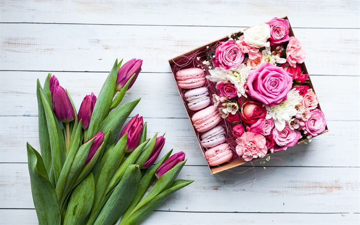 Violet tulipes, le 8 Mars, les cadeaux, les f&#233;licitations, les macarons, les roses roses, des vacances de printemps