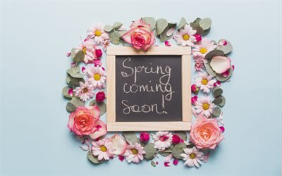 Primavera in arrivo, decorazioni Floreali, rose rosa, sfondo blu, primavera concetti