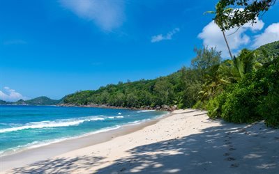 Takamka, Seychelles, Mahe, ilha tropical, praia, palma, a &#225;gua azul-turquesa, Oceano &#205;ndico