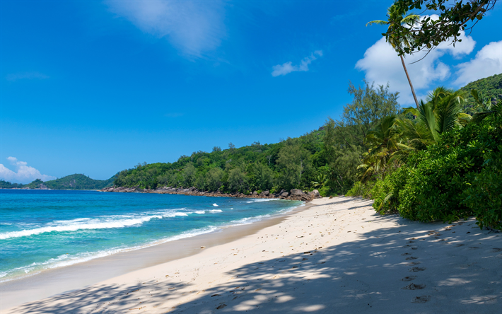 Yakınında North East Point Plajı, Seychelles, Beau Vallon, tropik ada, plaj, palmiye, turkuaz su, Hint Okyanusu