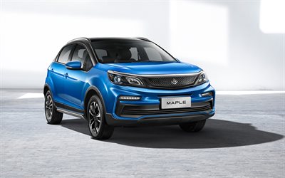 Maple 30X, 4k, electric cars, 2021 cars, crossovers, CN-spec, 2021 Maple 30X, chinese cars, Maple