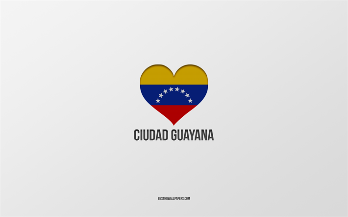 I Love Ciudad Guayana, Colombian cities, Day of Ciudad Guayana, gray background, Ciudad Guayana, Colombia, Colombian flag heart, favorite cities, Love Ciudad Guayana