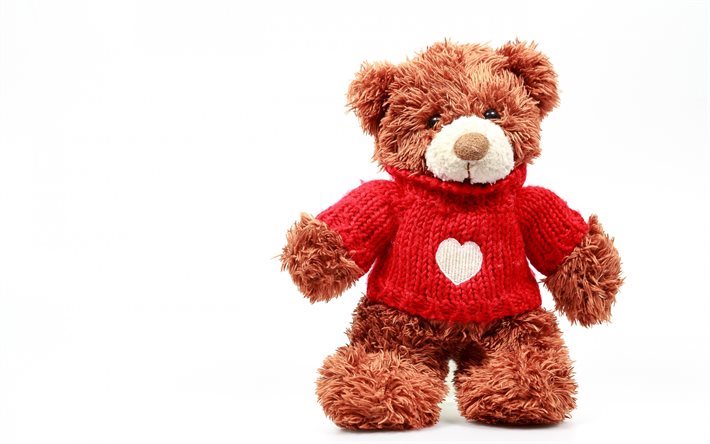 Teddy bear, soft toy, brown bear cub
