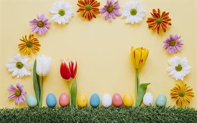 Decorazione pasquale, crisantemi, fiori di primavera, Pasqua, aprile 2018, tulipano, verde, erba