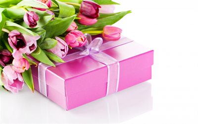 pink tulips, bouquet of tulips, pink gift box, pink silk bow, spring, tulips