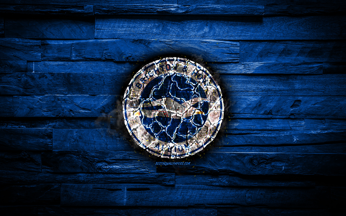 Brighton and Hove Albion FC, fiery logo, blue wooden background, Premier League, english football club, grunge, football, Brighton and Hove Albion logo, fire texture, England, soccer