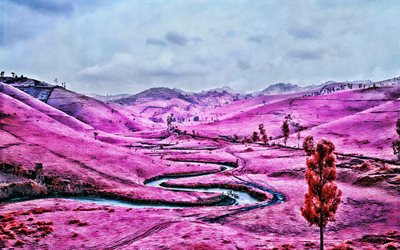 Pink Field, HDR, beautiful nature, pink landscapes, Congo, Africa