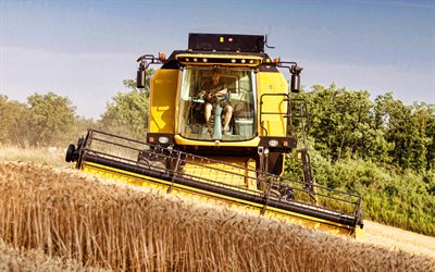 New Holland TC, 4k, cosechadora, 2020 combina, el trigo, la cosecha, la cosecha de conceptos, New Holland