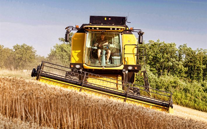 New Holland TC, 4k, cosechadora, 2020 combina, el trigo, la cosecha, la cosecha de conceptos, New Holland
