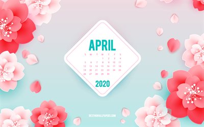 2020 April Kalender, rosa blommor, v&#229;r konst, April, 2020 v&#229;ren kalendrar, v&#229;ren bakgrund med blommor, April 2020 Kalender, papper blommor