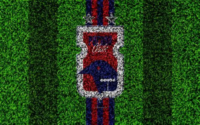 Parana FC, 4k, football lawn, logo, Brazilian football club, emblem, red blue lines, Serie A, Curitiba, Parana, Brazil, Campeonato Brasileiro, Brazilian Championship A Series, Parana Clube